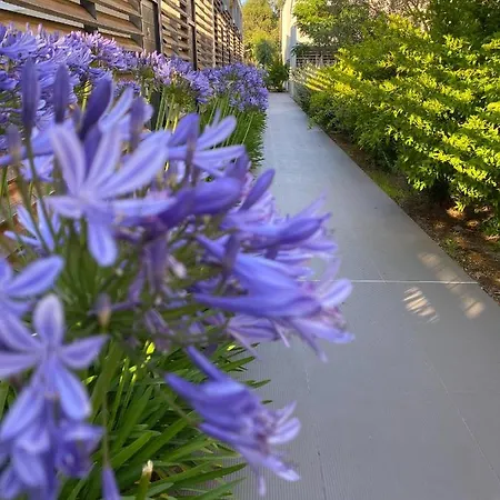 Costa Nera Διαμέρισμα